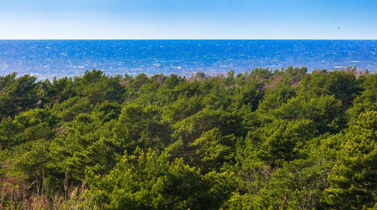 Palanga Sea View 아파트 외부 사진